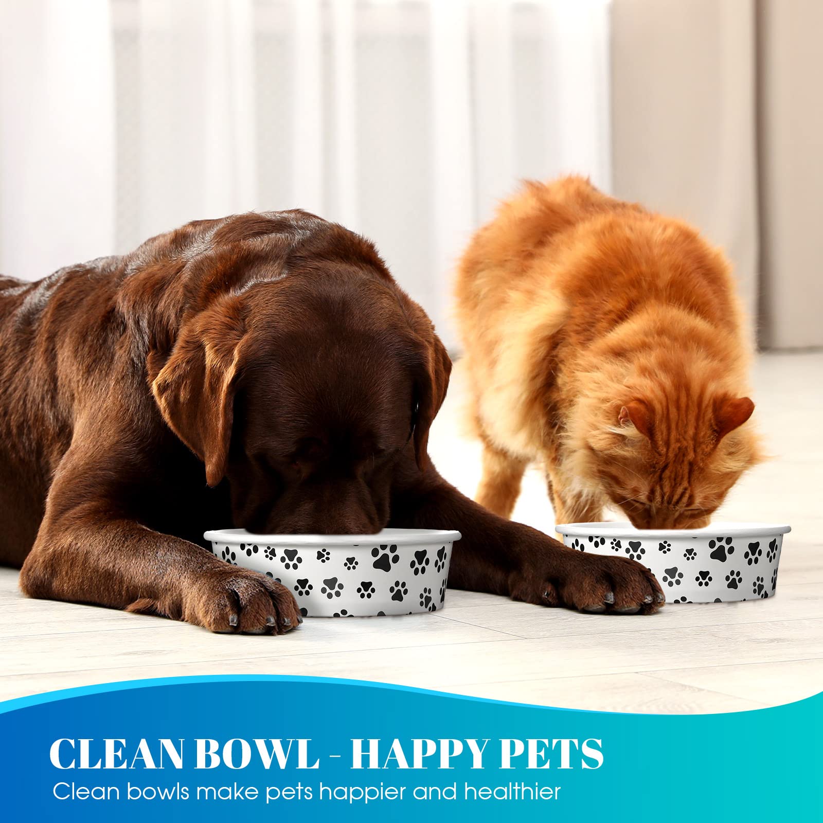 Potchen lightweight dining solution for wet or dry food on the go.