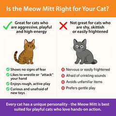 Reinforced hand design protects the user during play with Meow Mitt