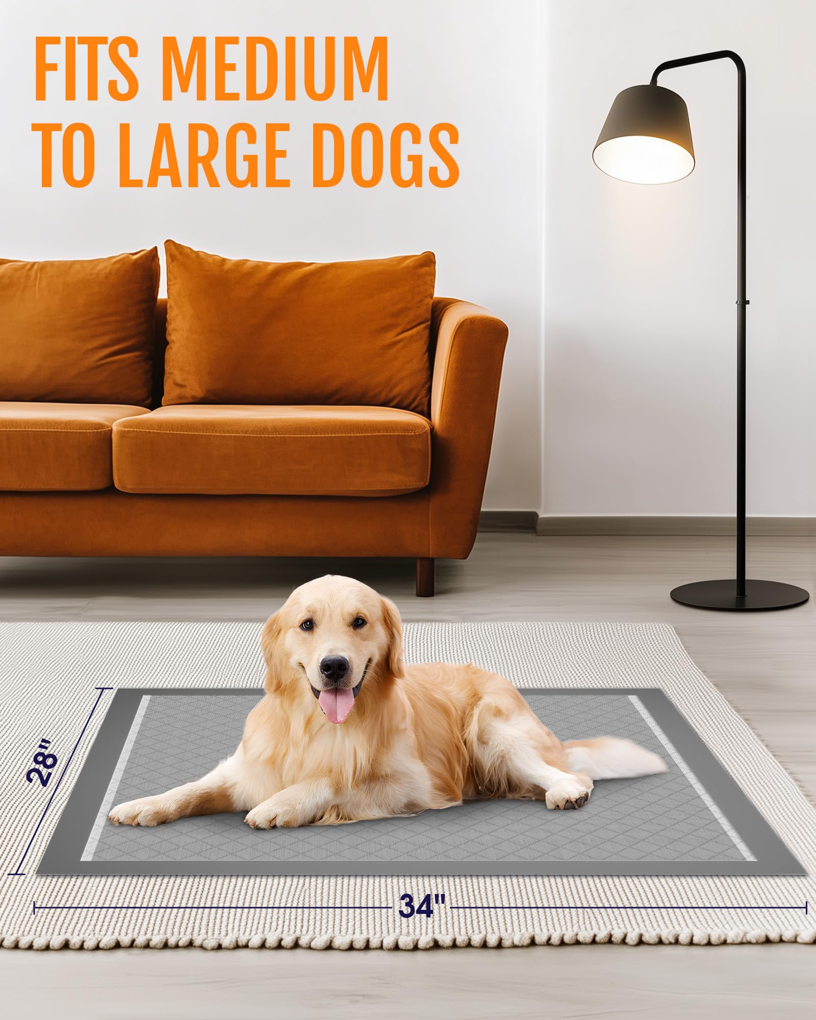 Powools activated carbon odor-control pad neutralizes smells while keeping surfaces dry.