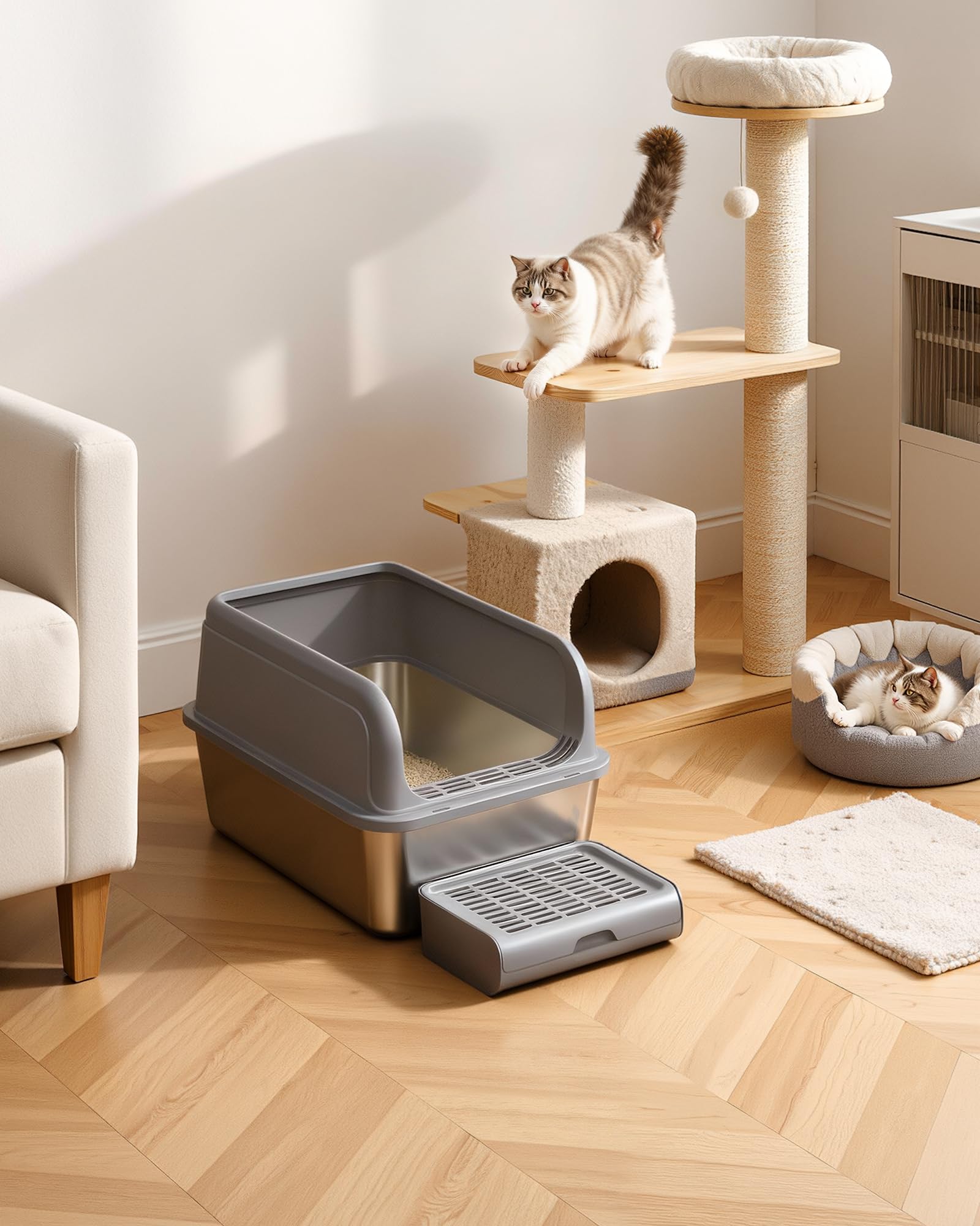 Powools quick tool free setup allows easy placement in any room