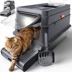Powools cat litter box with lid showing roomy interior for comfortable cat movement.