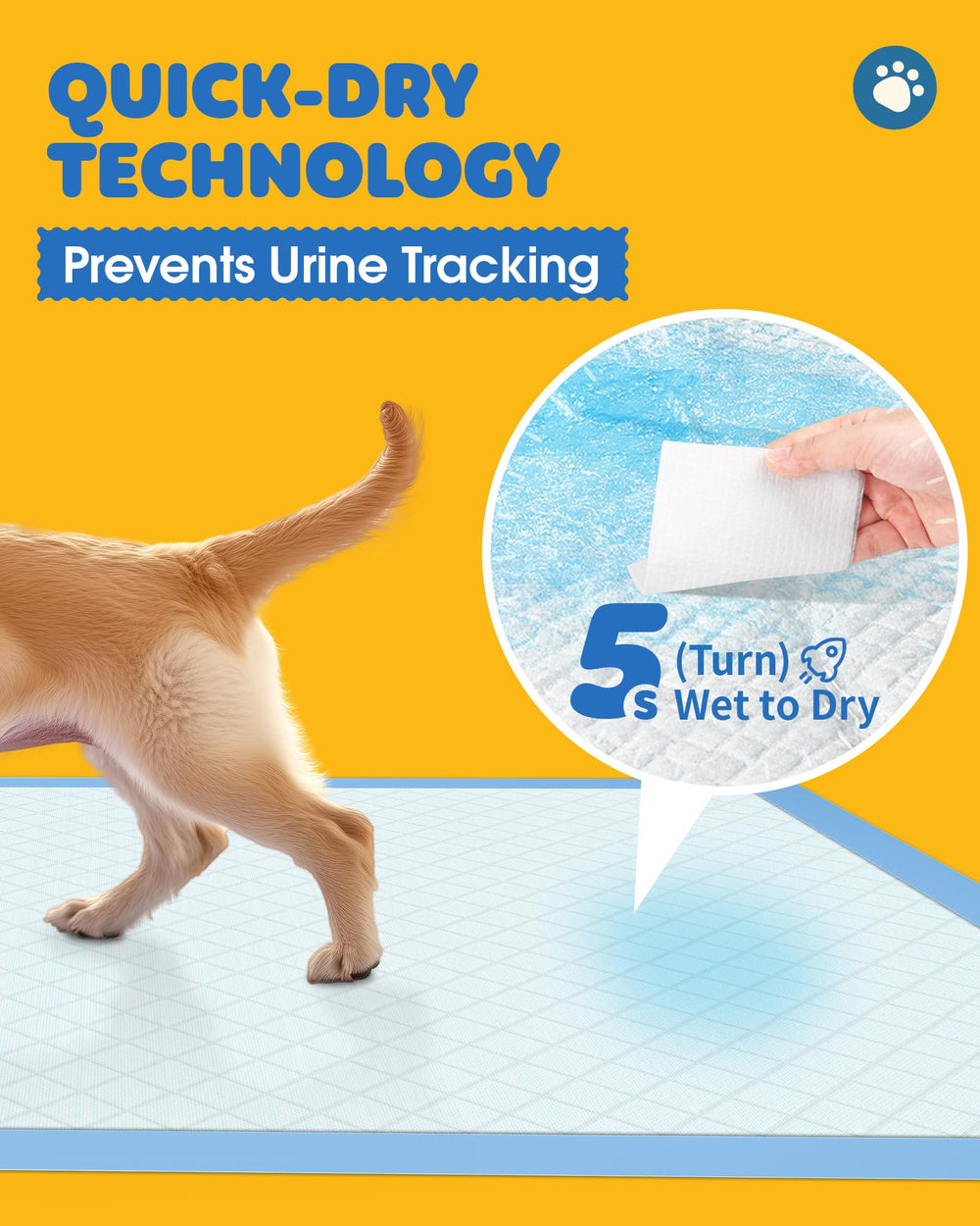 Powools pee pad in crate setup demonstrates floor protection during crate training