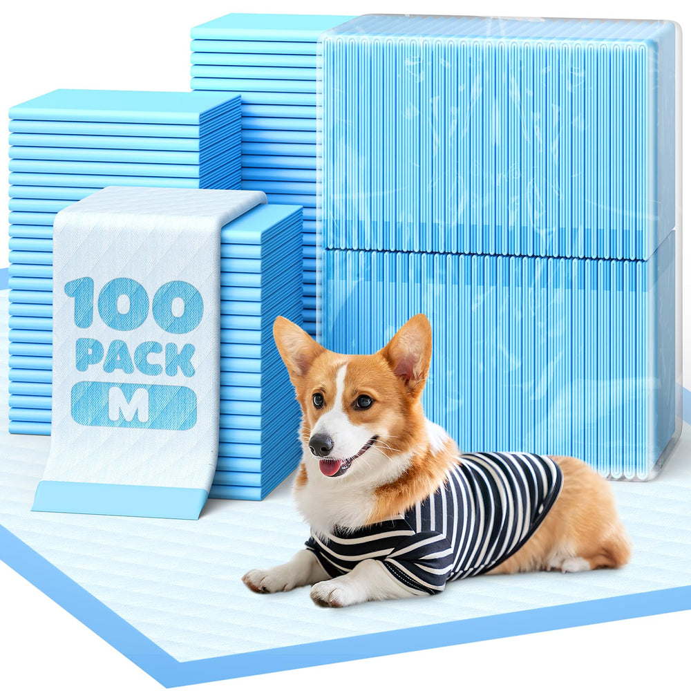 Powools puppy pads with 6-layer absorbent core for reliable spill protection.