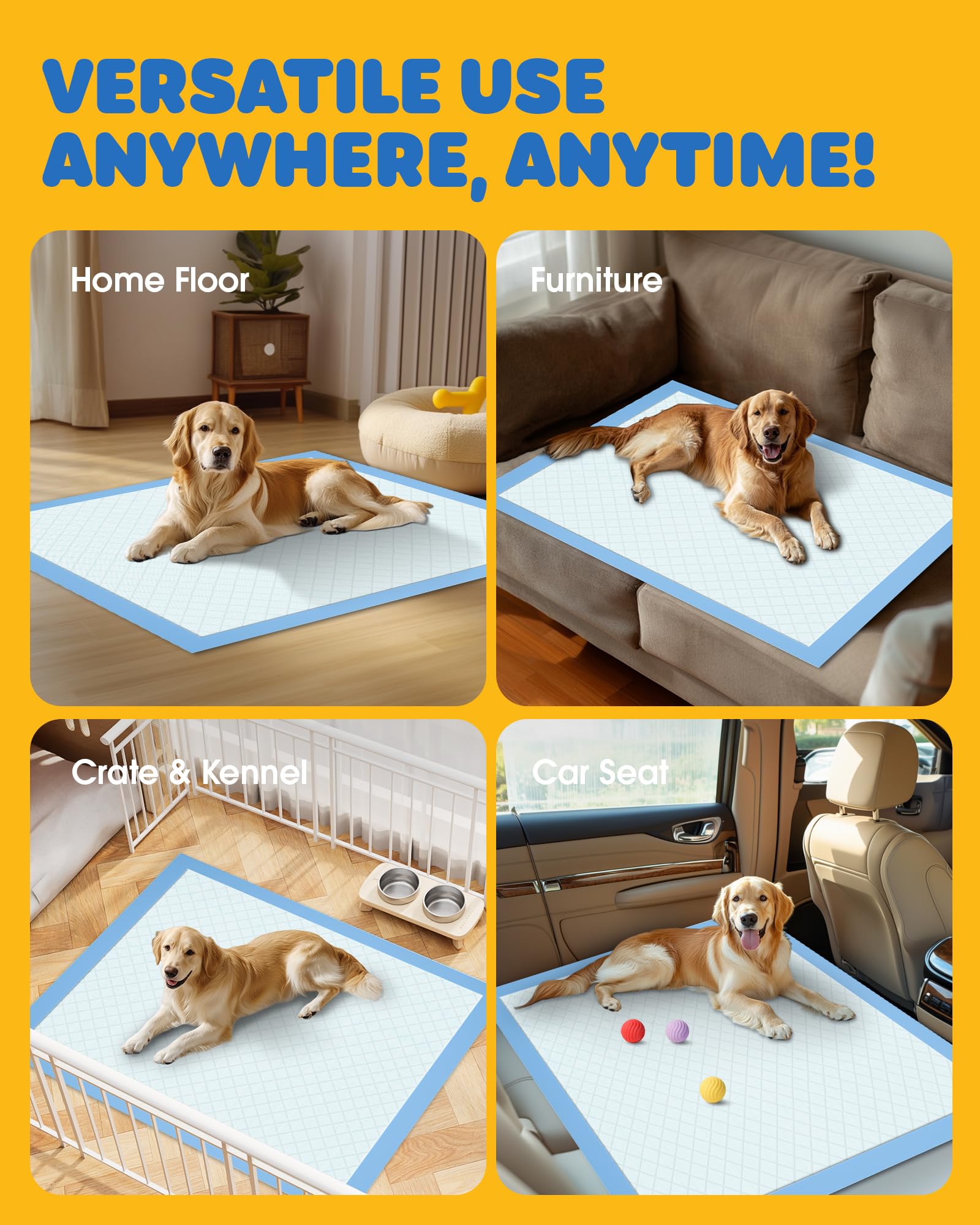 Powools pad in use with a dog, maintaining a tidy home.