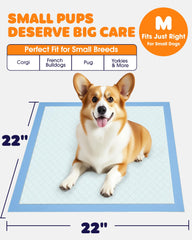 Powools puppy pads quick-dry technology locks moisture and keeps floors dry.