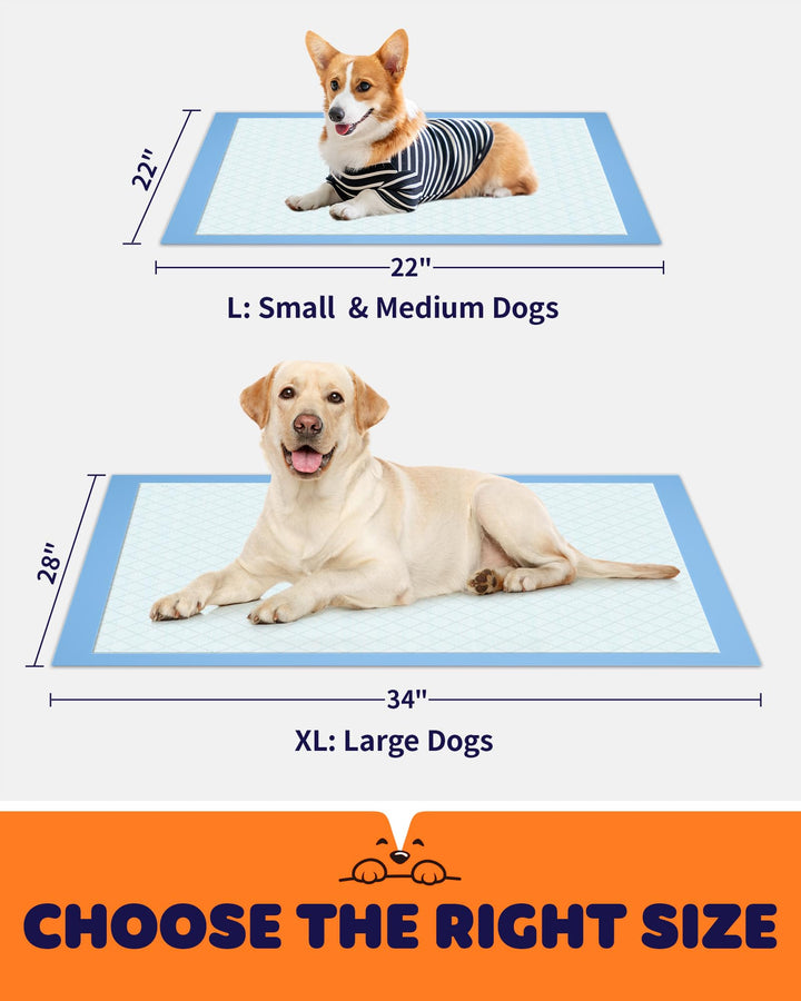 Powools six-layer Puppy Pads with polymer core absorb moisture quickly