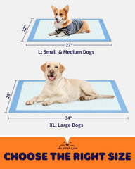 Powools six-layer Puppy Pads with polymer core absorb moisture quickly