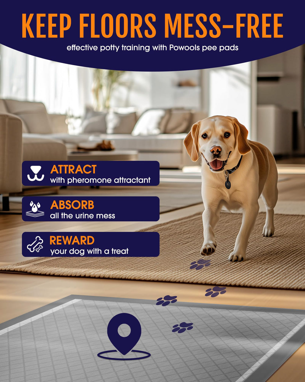 Powools quick-dry surface design helps paws stay clean after accidents.
