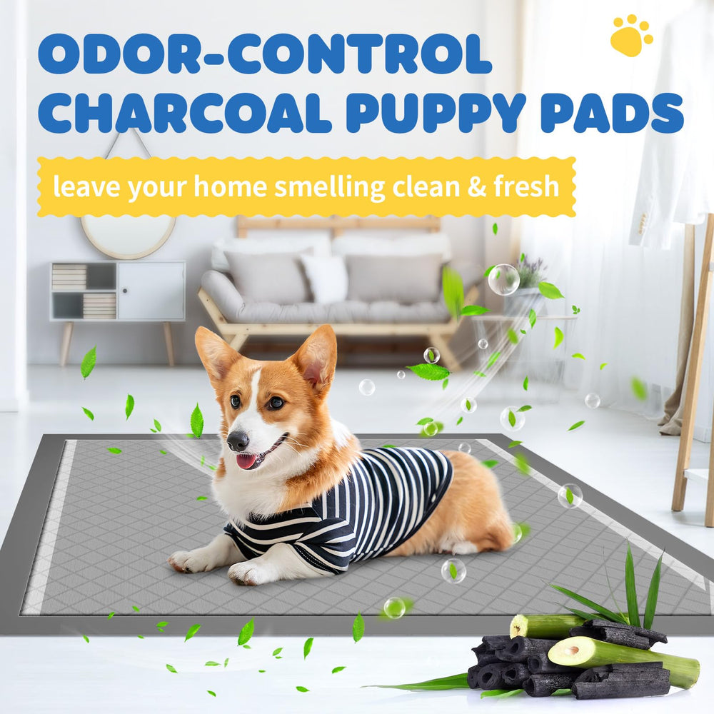 Powools XL puppy pad in use for indoor house training in busy spaces