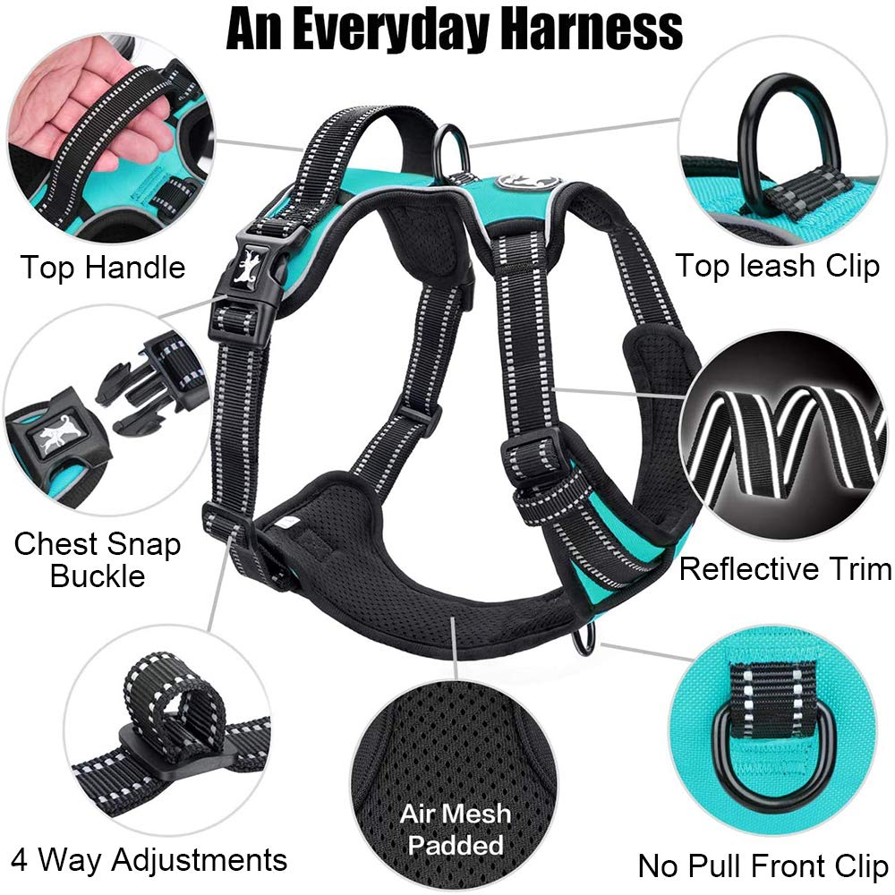 PoyPet adjustable straps mint blue harness offers a customizable fit.