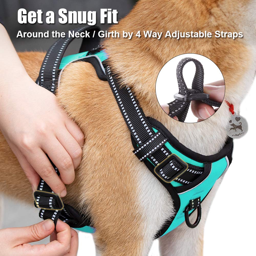 PoyPet reflective stitching mint blue harness boosts night visibility.