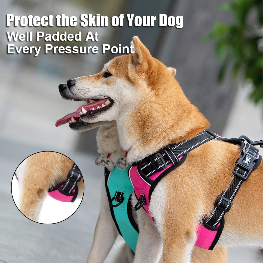 PoyPet Harness reflective stitching improves visibility during night outdoor walks.