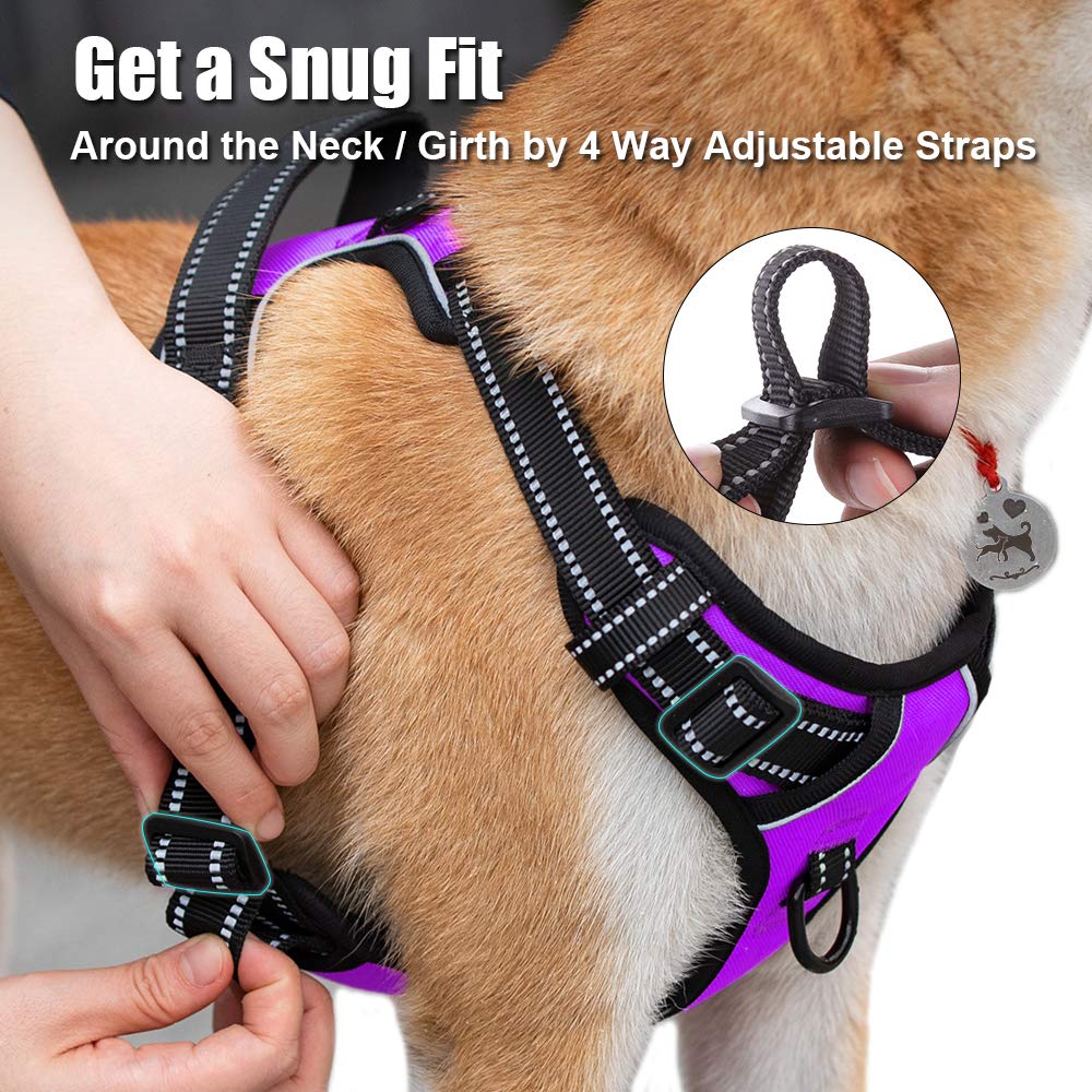 PoyPet No Pull harness reflective-stitching improves night visibility.