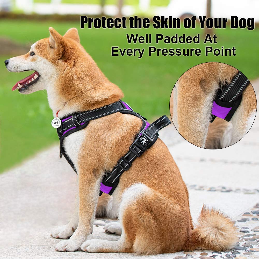 PoyPet No Pull harness scratch-resistant Oxford outer layer for easy cleaning.