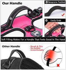 PoyPet 5ft leash in pink with reflective features for safer evening strolls.