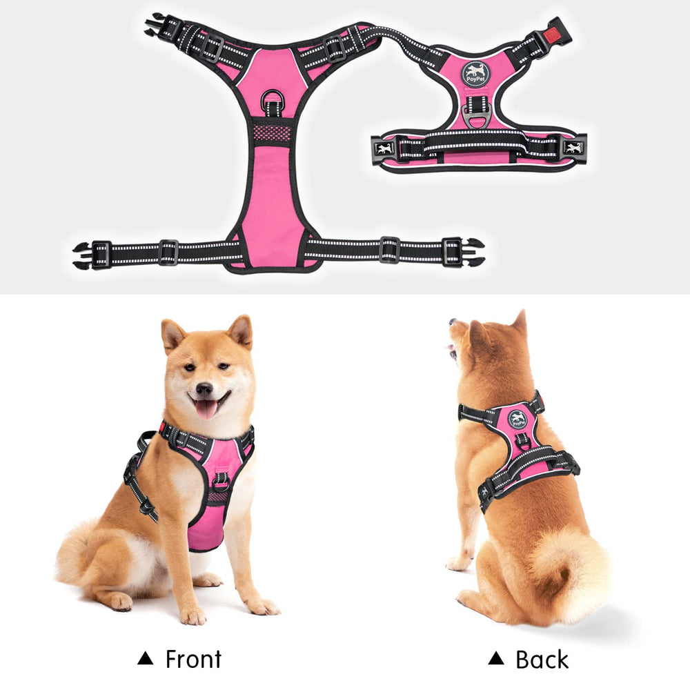 PoyPet adjustable belly straps provide a customizable fit.