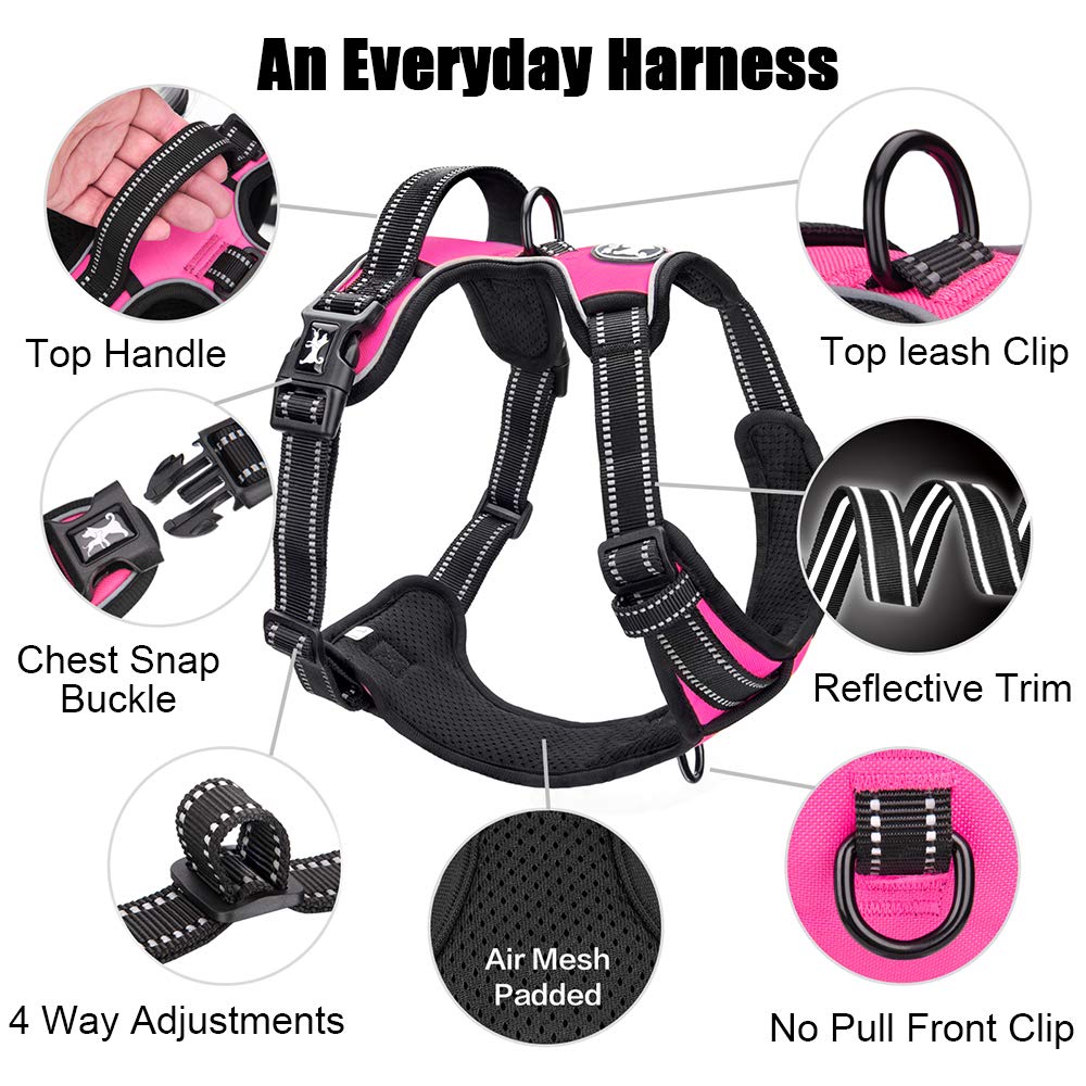 PoyPet No Pull harness with adjustable straps for a secure fit
