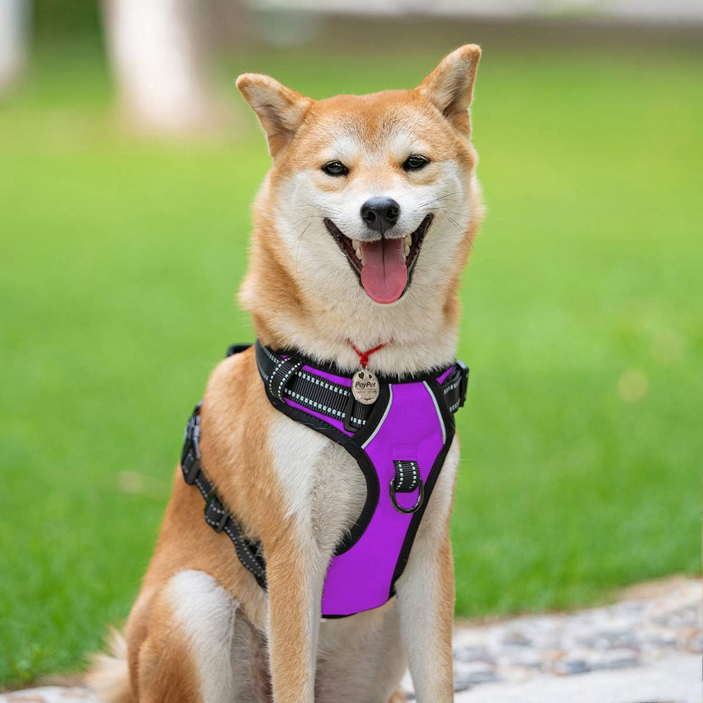 PoyPet No Pull Harness back clip enables relaxed walks with secure handling in purple M