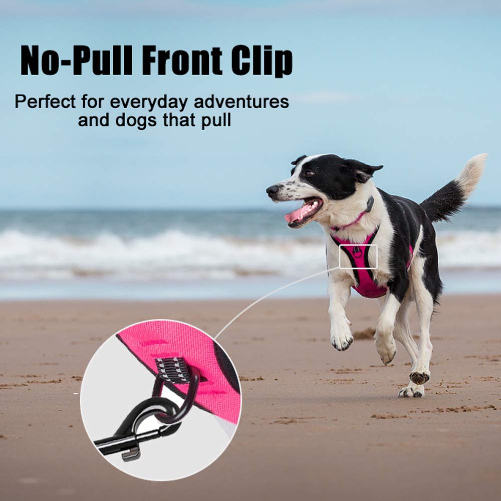 PoyPet No Pull harness back clip for relaxed walks and versatility
