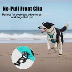 PoyPet No Pull Harness back clip enables relaxed, comfortable daily strolls.