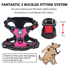 PoyPet harness back leash attachment supports relaxed, natural walking.