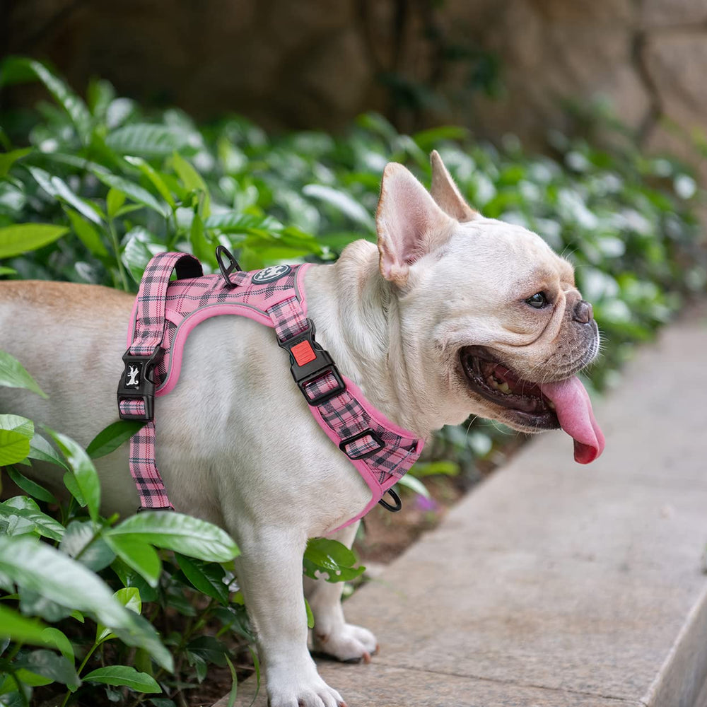 PoyPet No Pull Harness checkered pink design for daily wear