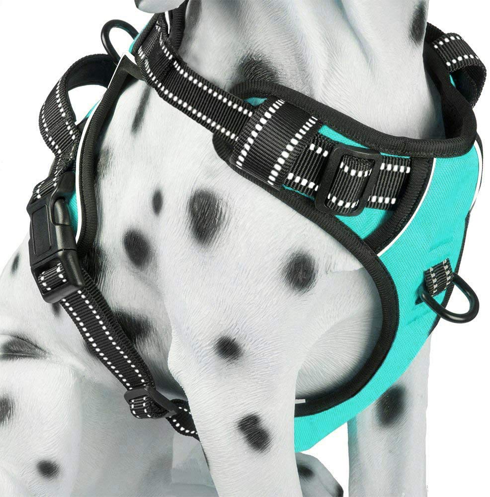 PoyPet No Pull Harness front clip for easier training and reduced pulling on walks.