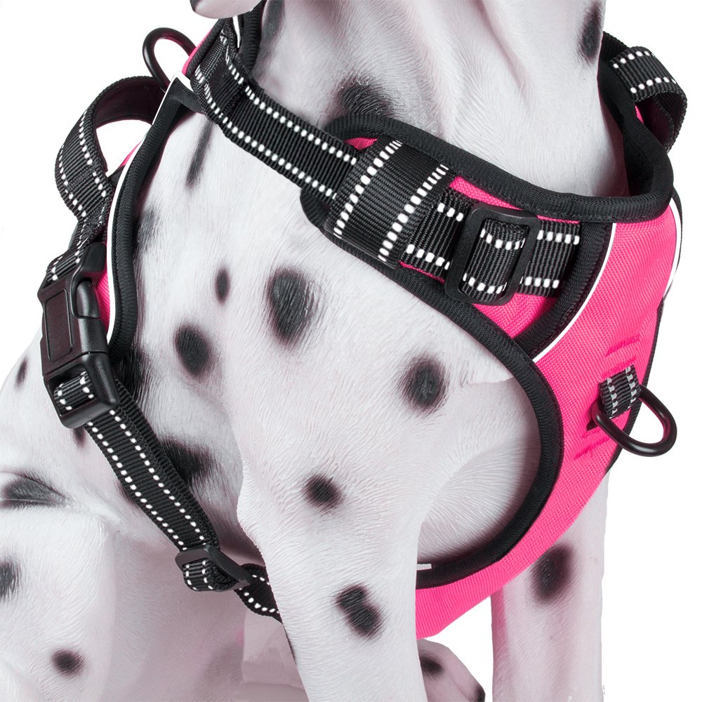 PoyPet No Pull harness with front clip for controlled walking and training