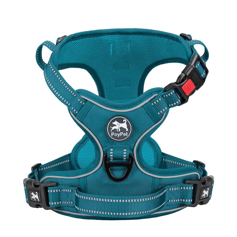 PoyPet No Pull Harness front view in Tumalo Teal for safer training sessions