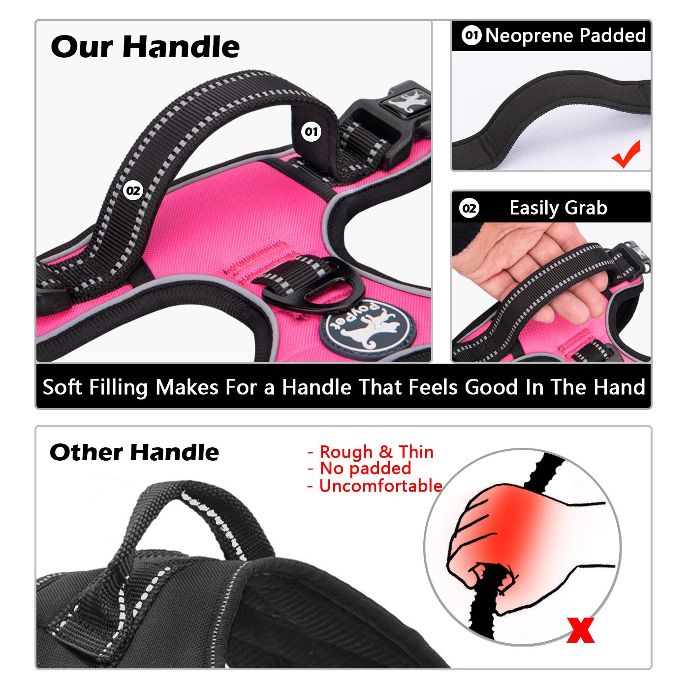 PoyPet reflective stitching enhances visibility for night walks.
