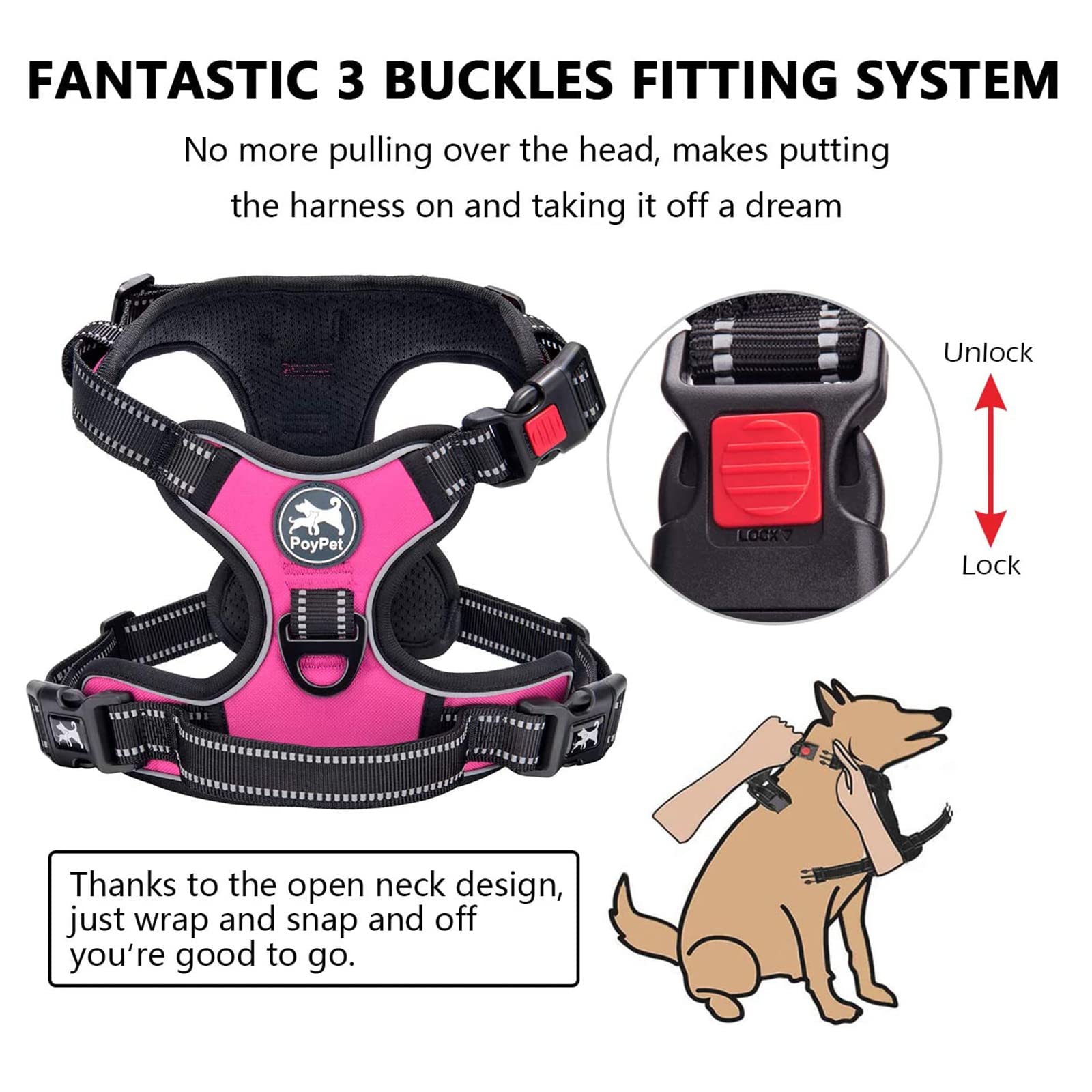 PoyPet harness reflective stitching for night visibility