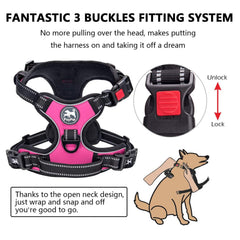 PoyPet harness reflective stitching for night visibility