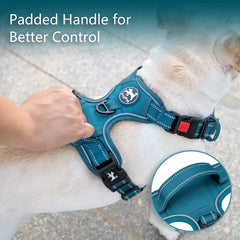 PoyPet padded top handle provides quick grab-and-guide during routine tasks