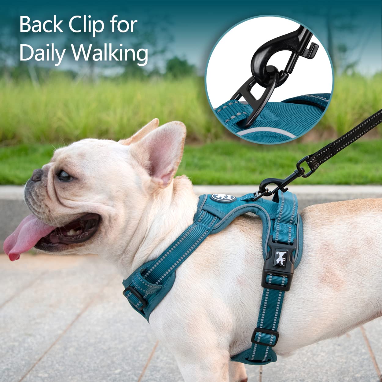 PoyPet padded top handle allows quick, safe grabbing in emergencies.