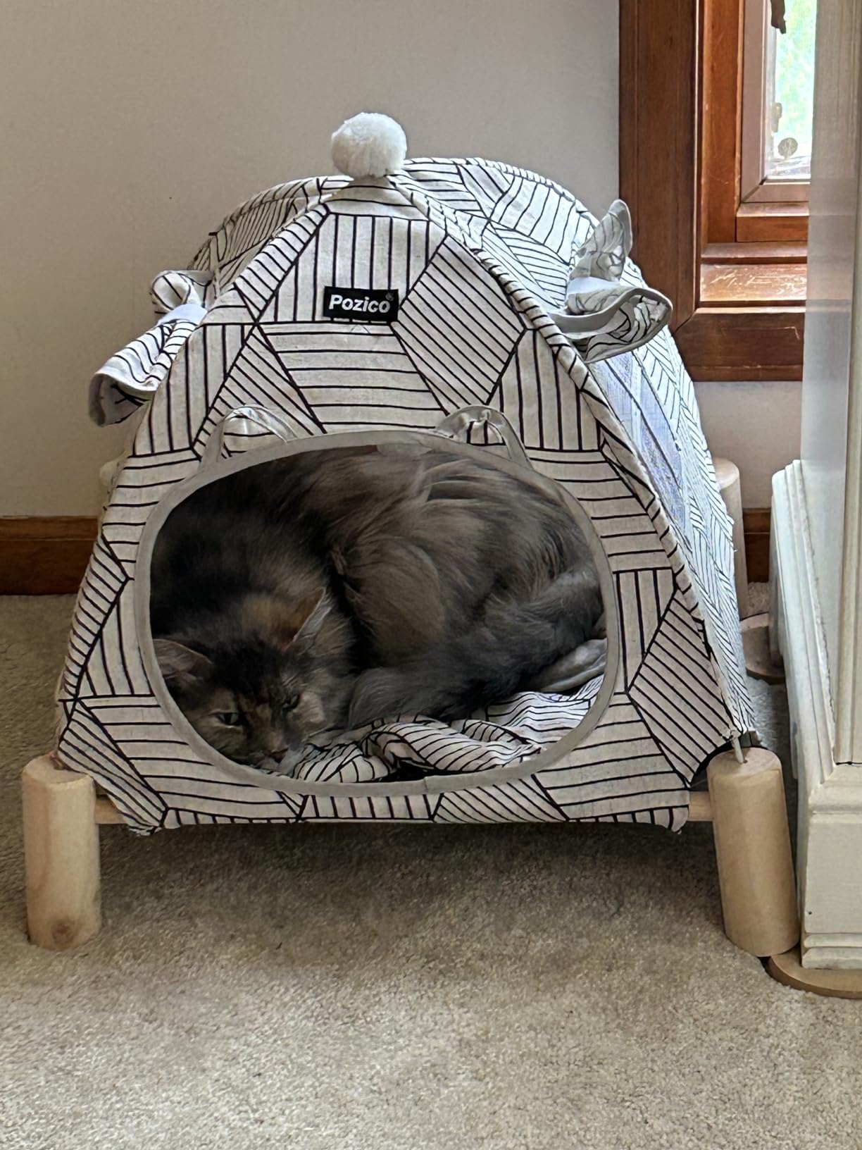 Pozico 2-in-1 cat teepee hammock offers secure elevated rest.