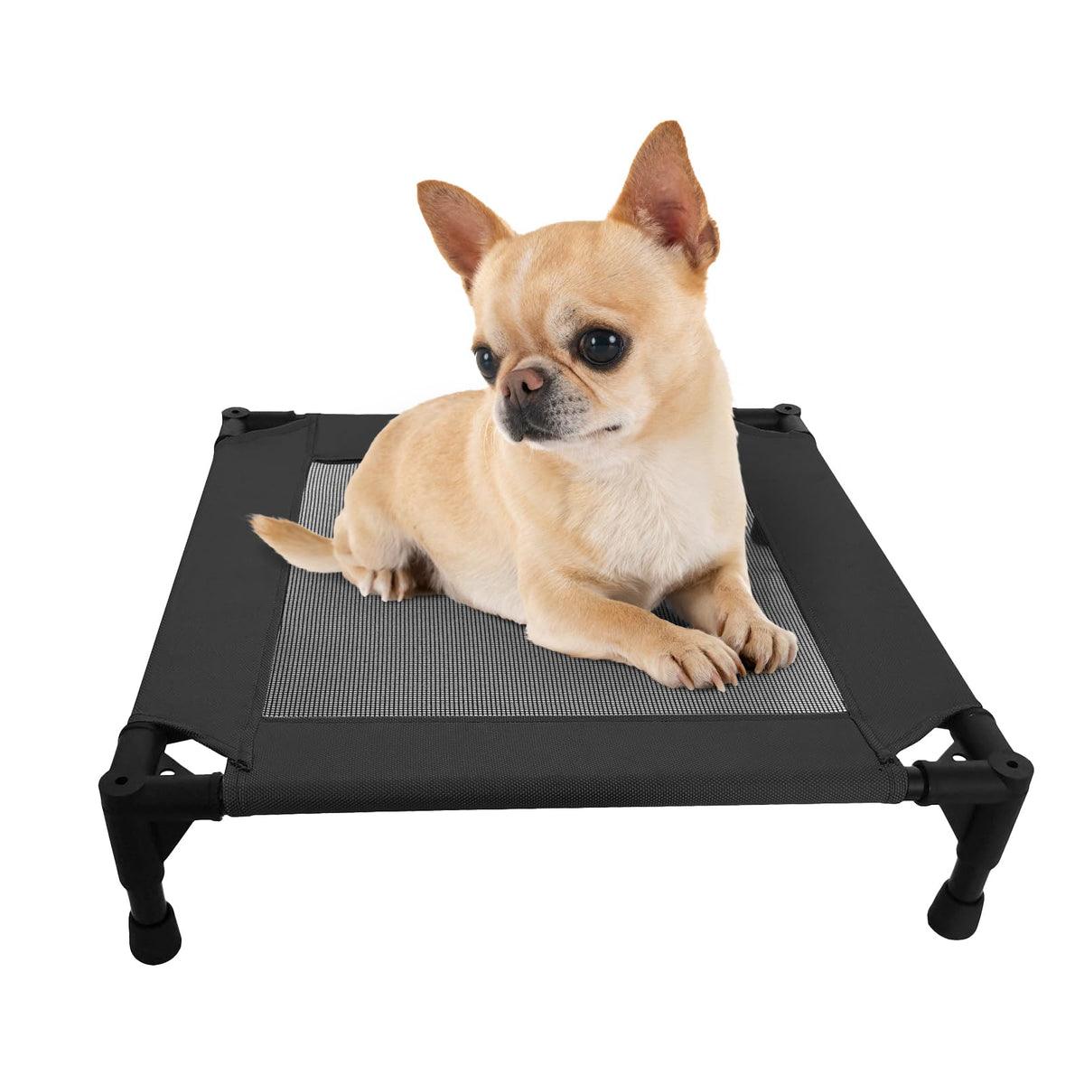 Pozico elevated pet bed with mesh top view for breathable cooling in small spaces