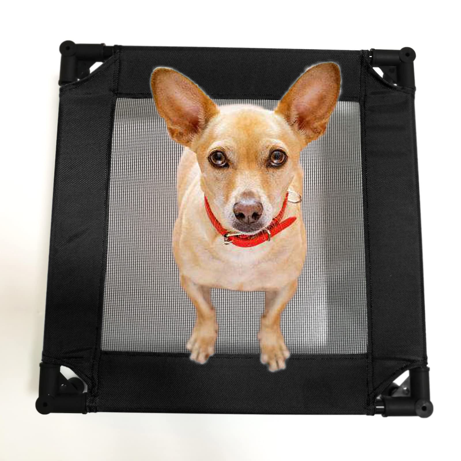 Pozico elevated pet bed sturdy metal frame delivers durable support for tiny companions