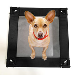 Pozico elevated pet bed sturdy metal frame delivers durable support for tiny companions