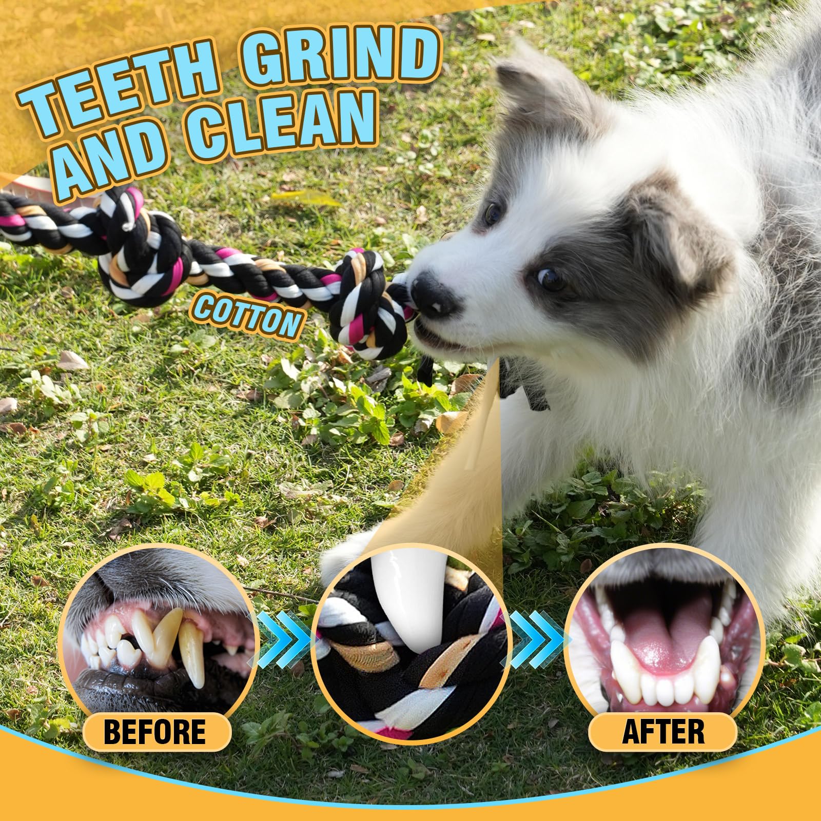 PPTAIO interactive rope toys set for engaging fetch and training sessions.