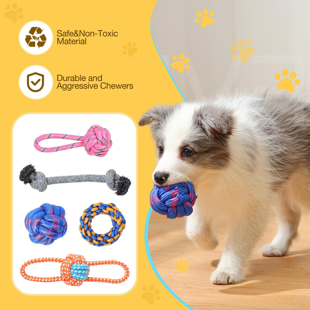 PPTAIO training balls for dogs help reinforce commands during games.