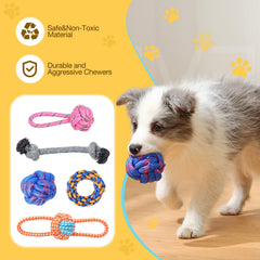 PPTAIO training balls for dogs help reinforce commands during games.