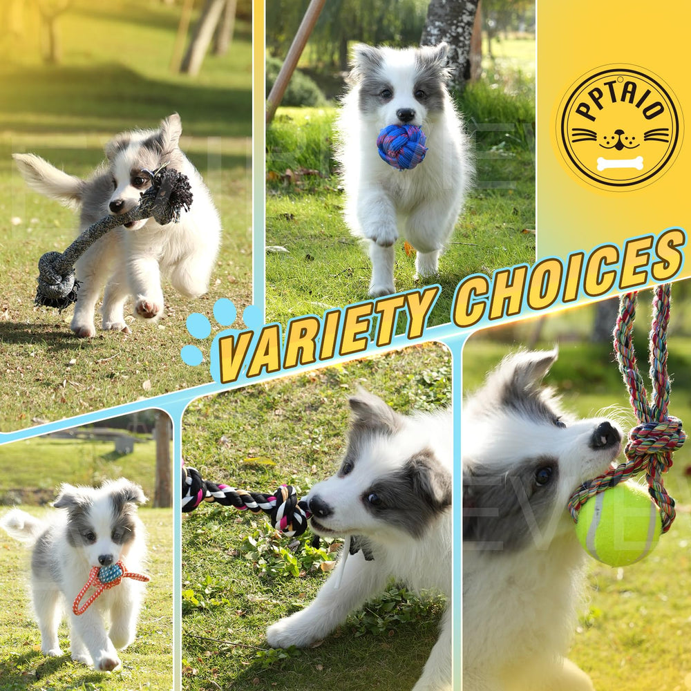PPTAIO tug-of-war toy for bonding and energetic play sessions.