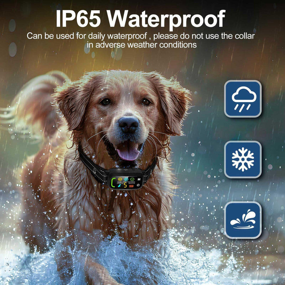 PQJDFX adjustable nylon straps showing a comfortable, secure fit for multiple dogs.