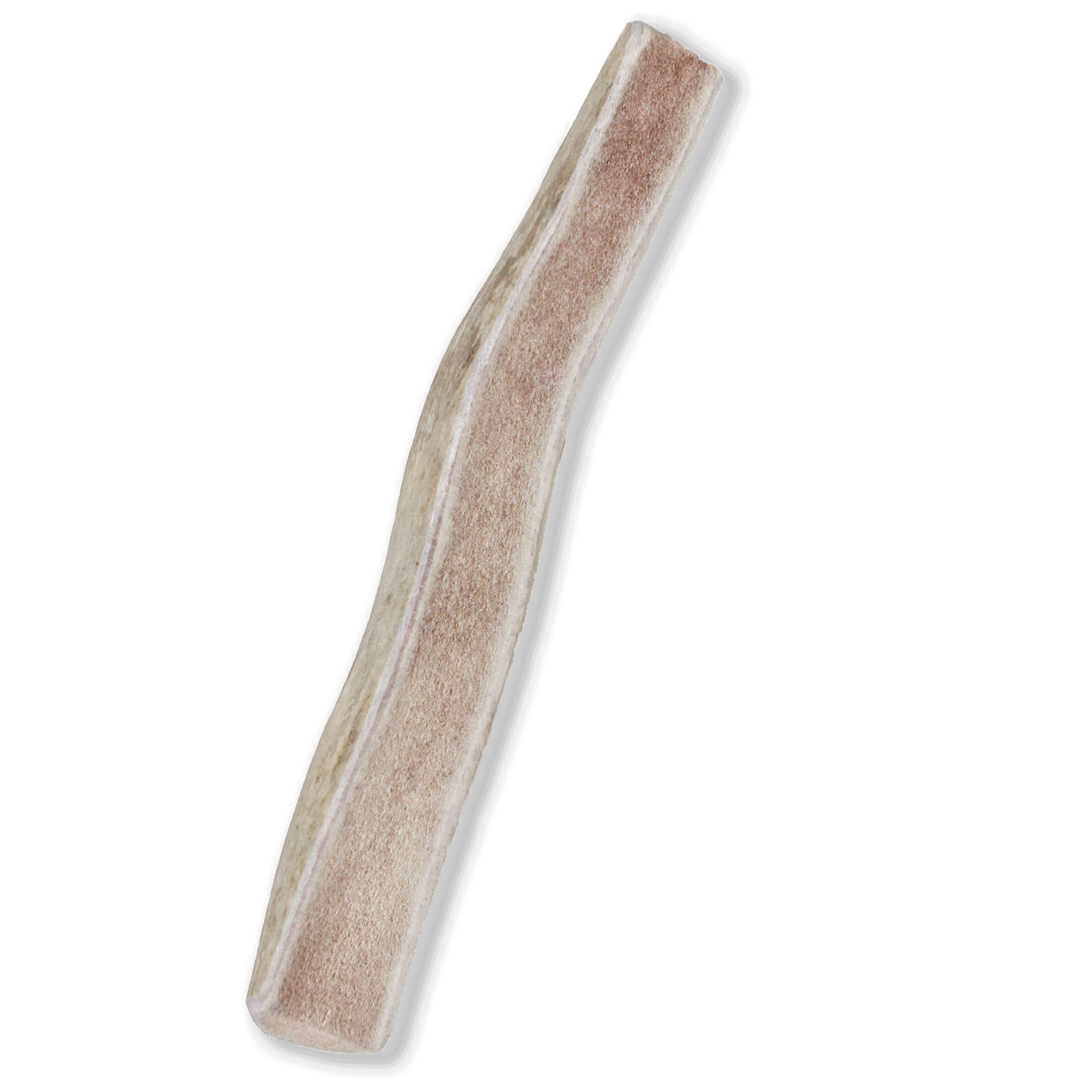 Prairie Dog Antlers large – ideal for strong chewers and active dogs.
