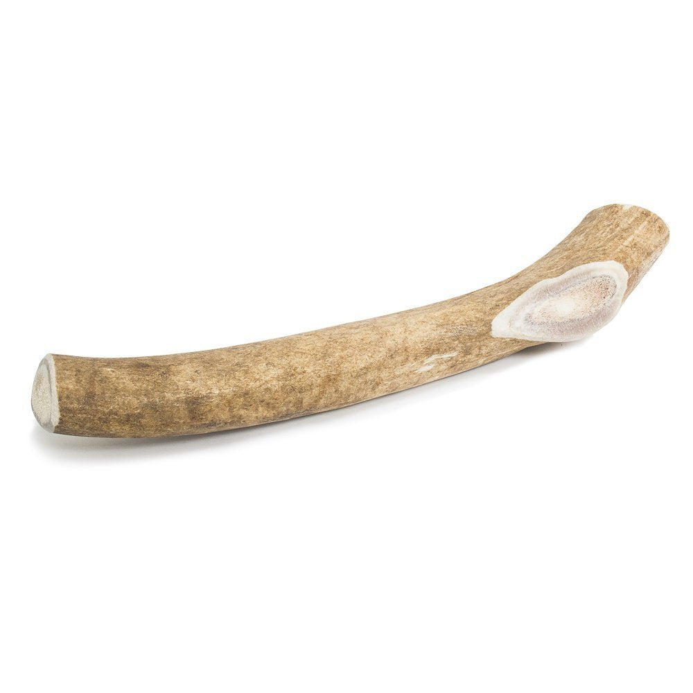 Prairie Dog Pet Products deer antler 8-9 inch, a natural long-lasting chew for dogs.