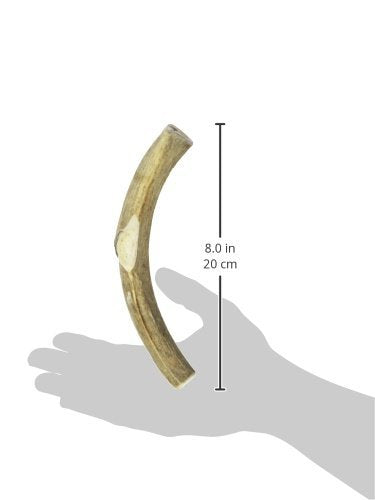 Prairie Dog Pet Products deer antler on display, showcasing safe allergen-free chew.