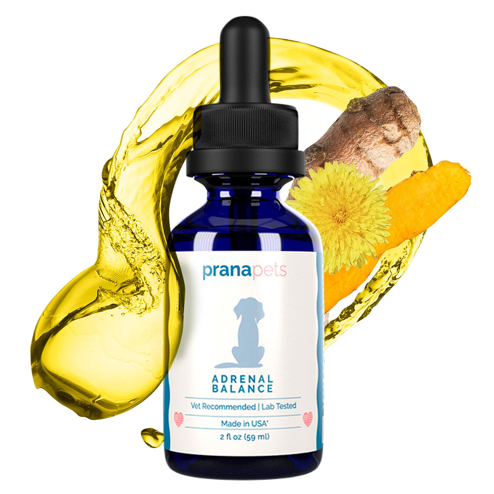 Close-up of PranaPets Adrenal Balance bottle highlighting licorice-free formula.