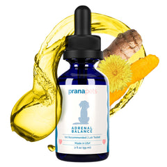 Close-up of PranaPets Adrenal Balance bottle highlighting licorice-free formula.
