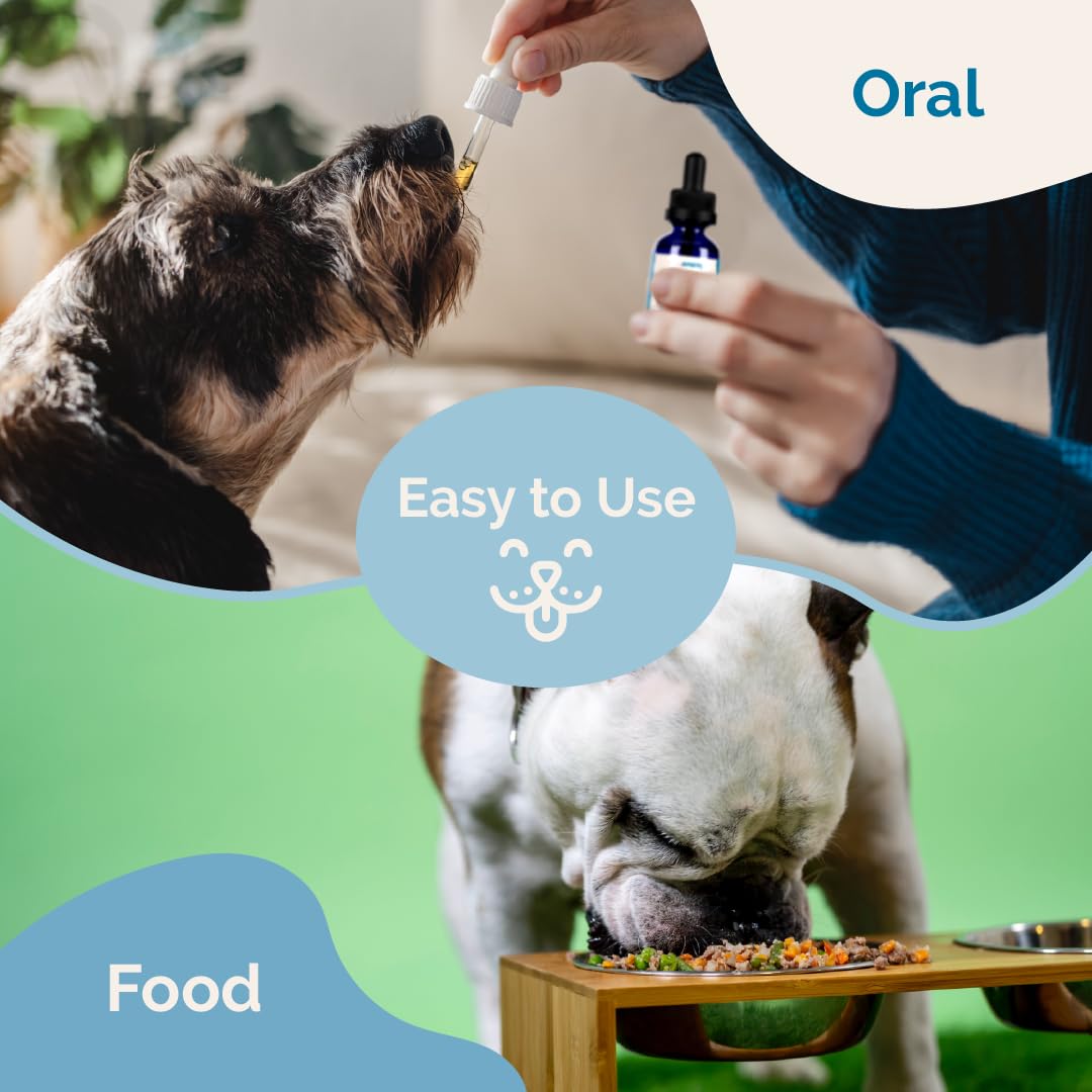 Dog enjoying a comfortable routine with Adrenal Balance added to meal.