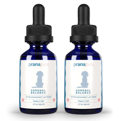 PranaPets Adrenal Balance drops support daily hormonal balance and stress adaptation for dogs.